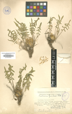 LE 01010251