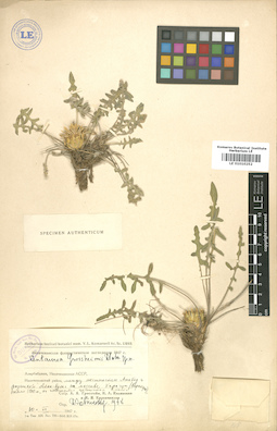 LE 01010252