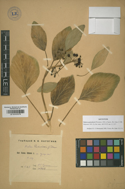 LE 01010274