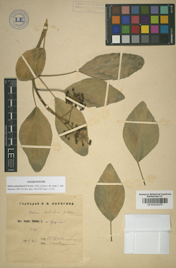 LE 01010275
