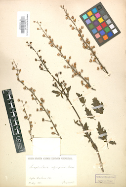 LE 01010327