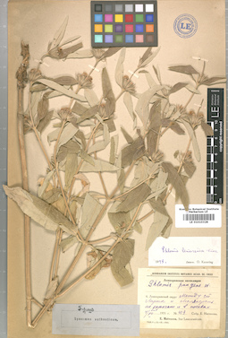 LE 01010328