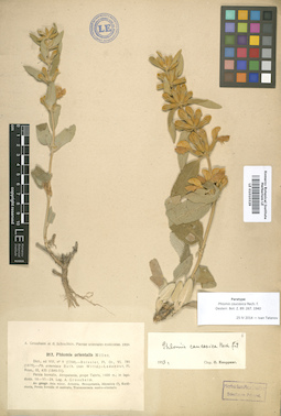 LE 01010329