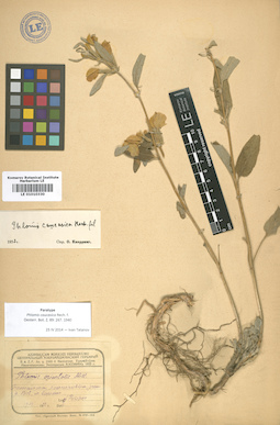 LE 01010330