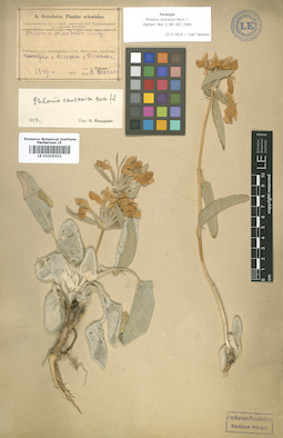LE 01010331