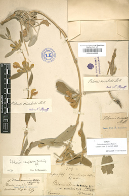 LE 01010335