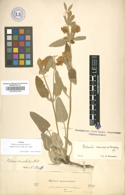 LE 01010336