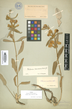 LE 01010337