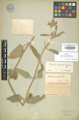 LE 01010338