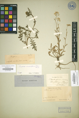 LE 01010339