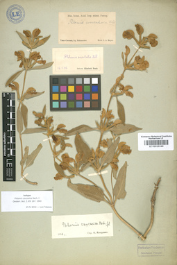LE 01010340
