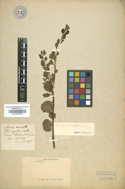 LE 01010350