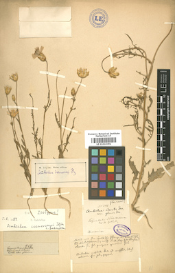 LE 01010392