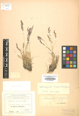LE 01010400