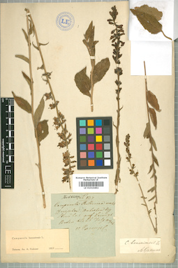 LE 01010492