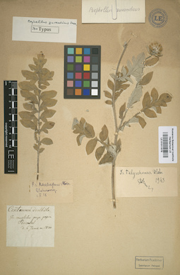 LE 01011578