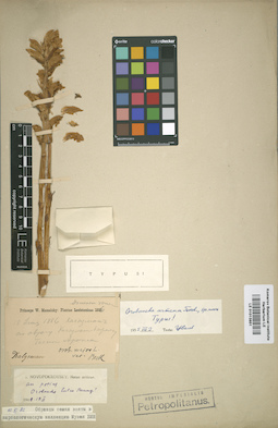 LE 01013851