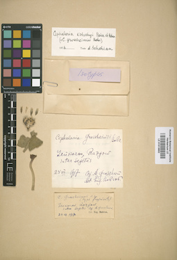 LE 01013852