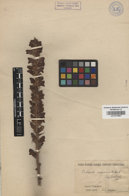 LE 01013897