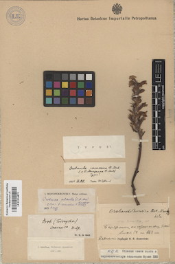 LE 01014672