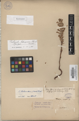 LE 01015389