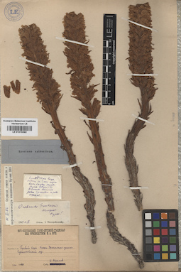 LE 01015392