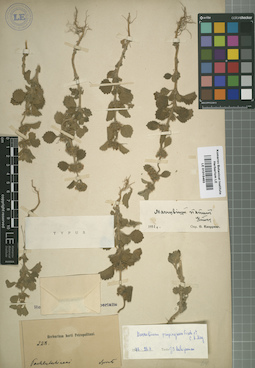 LE 01015463