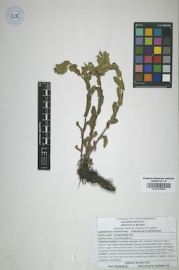 LE 01015904
