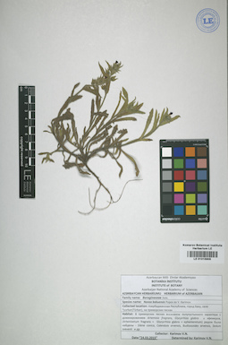 LE 01015905