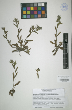 LE 01015906