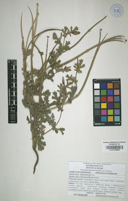LE 01015908