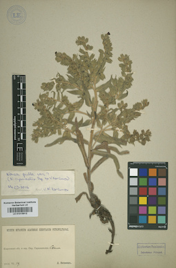 LE 01015912