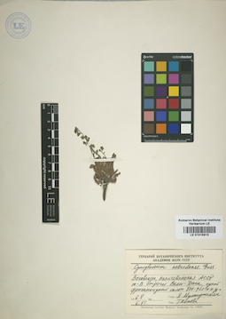 LE 01015913