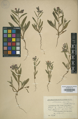 LE 01015914