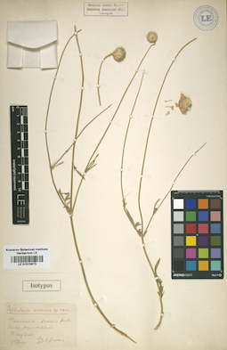 LE 01015972