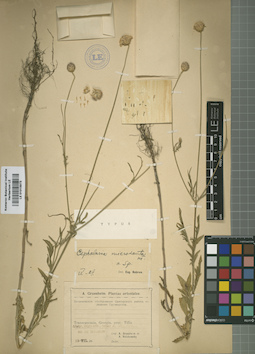 LE 01015973