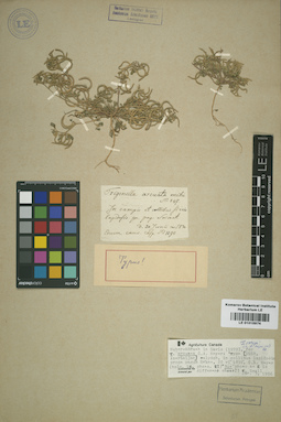 LE 01015974