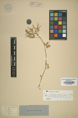 LE 01015987