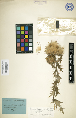 LE 01017953