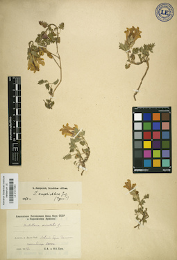 LE 01017961