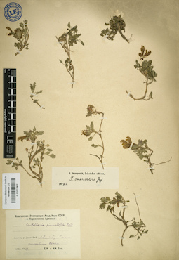 LE 01017962