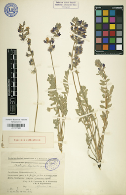 LE 01017980