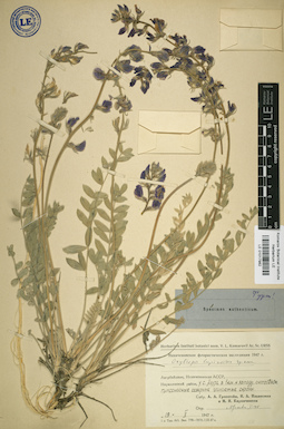 LE 01017982