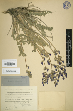 LE 01017983