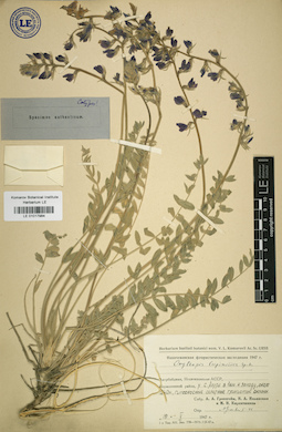 LE 01017984