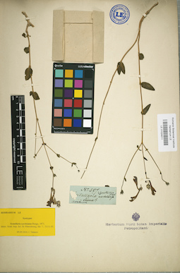 LE 01024011