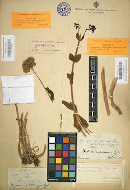 LE 01024060