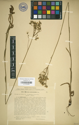 LE 01024063