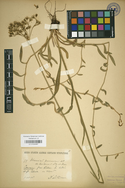 LE 01024067
