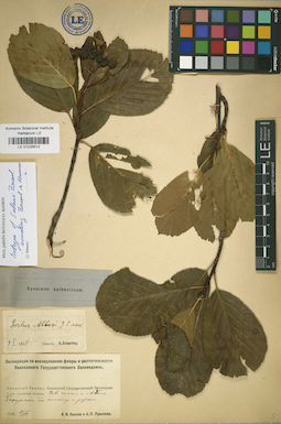 LE 01025612